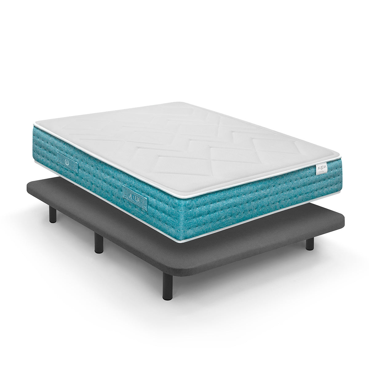 Pack base Nautilus