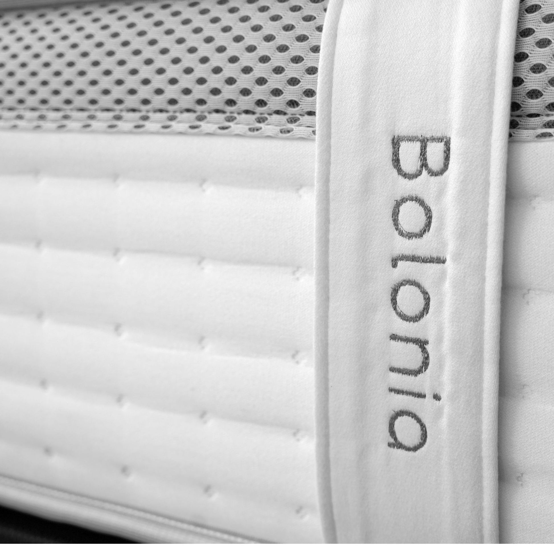 BOLONIA